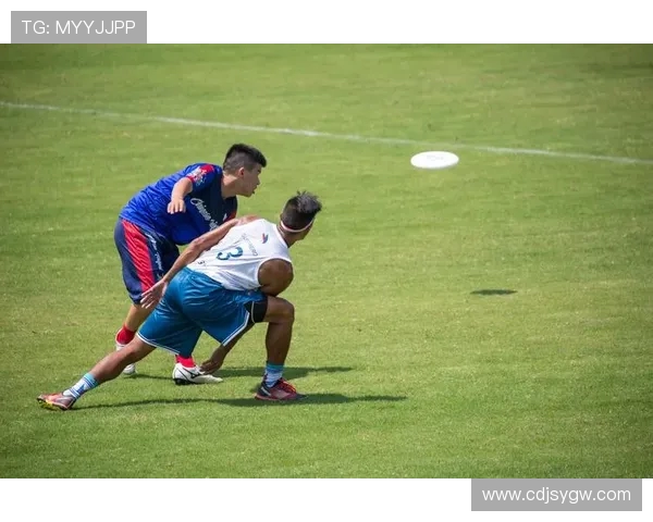 飞盘传奇：深圳飞盘队的奋斗与荣耀之路全景纪实
