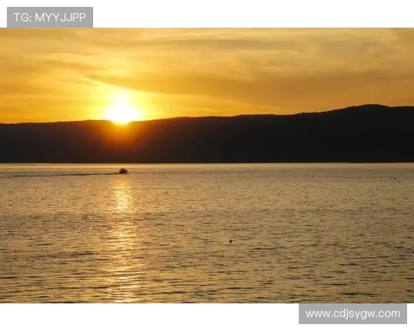 五大联赛新赛季全景洞察豪门兴衰黑马崛起走势深度解析纵横观全景